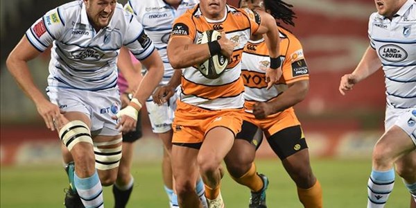 Cheetahs are finally off the mark Cheetahs are finally off the mark | News Article