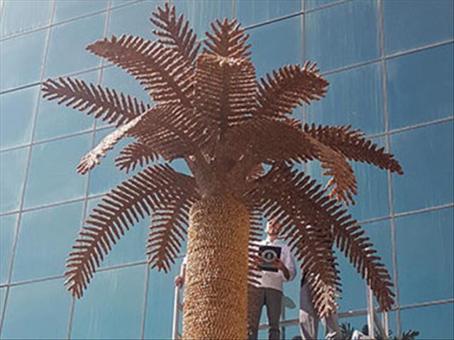 Did You Know Fact! | News Article