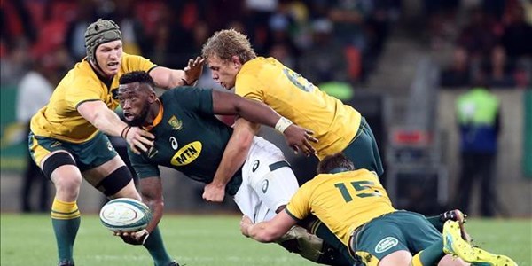 Springboks ready to give all against All Blacks | News Article