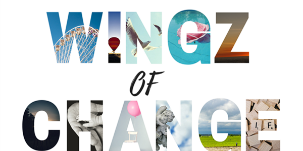 Just Plain Drive: Introducing the Christmas edition of Wingz of Change  | News Article