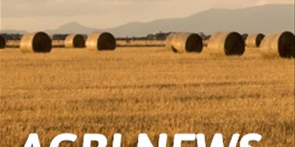 Agri News Podcast: Possible Winburg farm attack thwarted | News Article