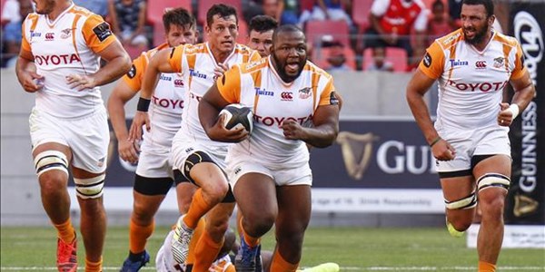 The Cheetahs remain wary of the Kings | News Article