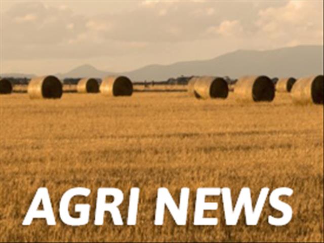 PODCAST: Agri News @ 11:00 | News Article