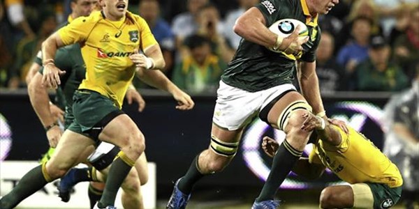 Boks to host just two home Tests in 2019 | News Article