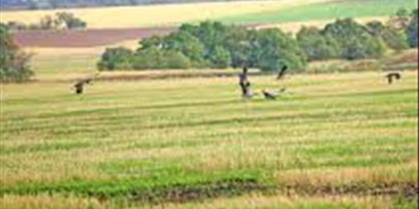 Moontlikhede in Rusland groot vir Suid-Afrikaanse boere Moontlikhede in Rusland groot vir Suid-Afrikaanse boere | News Article