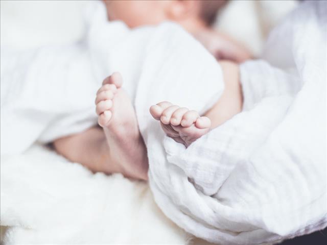 News Feature: Hope for abandoned babies | News Article