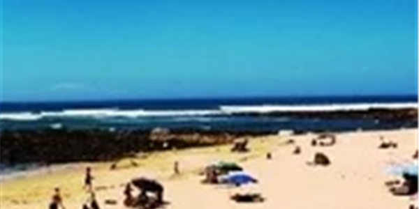 Whale carcass watch at Wilderness - Port Alfred beaches reopened | News Article