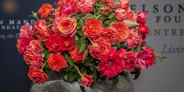 Rose honours Madiba Rose honours Madiba | News Article