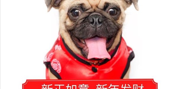 Chinese New Year: Welcoming the Year of the Dog | News Article