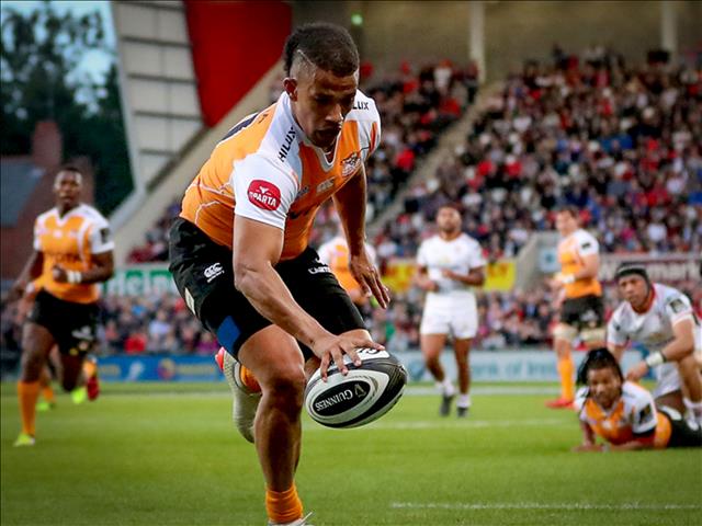 Cheetahs sweating over Blommetjies | News Article