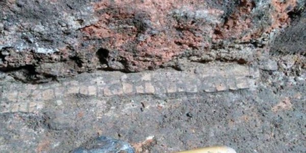 Volunteer makes remarkable archaeological find | News Article