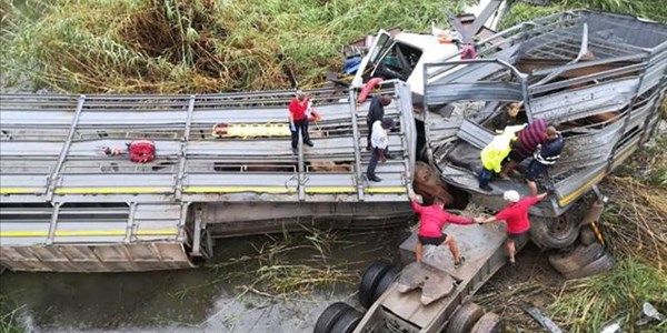 Investigation launched after cattle truck crashes into Vaal River | News Article