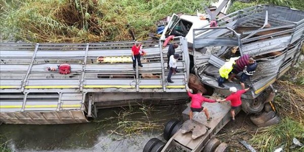 Investigation launched after cattle truck crashes into Vaal River Investigation launched after cattle truck crashes into Vaal River | News Article