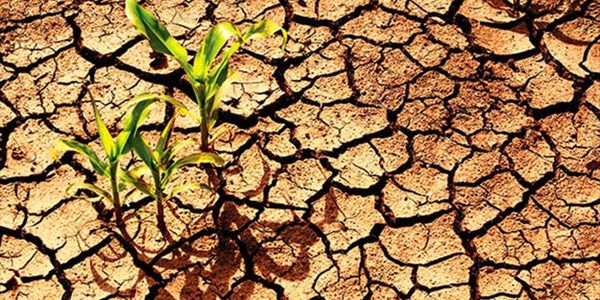 NC to receive drought relief | News Article