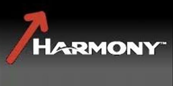 Two miners die at Harmony Gold’s Joel mine | News Article