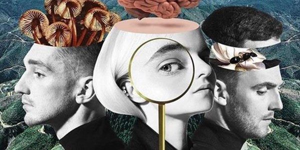 Clean Bandit announce new single featuring… | News Article