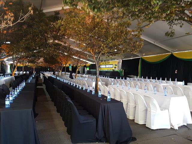 All set for #ANCFS conference rerun | News Article