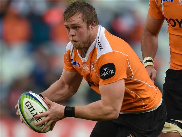 Former Cheetah, Koster, off to Bayonne | News Article