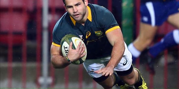Reinach desires the Bok 9 jersey  | News Article