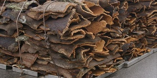 More about corck production More about corck production | News Article