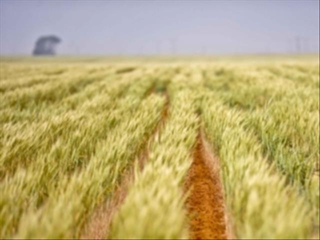 Expropriation hearings close in NC and Limpopo | News Article