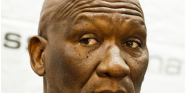 Axed ANC employee linked to at least 3 heists - Cele | News Article