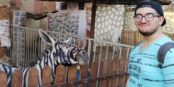 Egypt zoo accused of painting donkey to look like zebra Egypt zoo accused of painting donkey to look like zebra | News Article