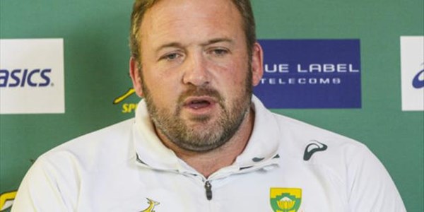 Bok bench to play pivotal role | News Article