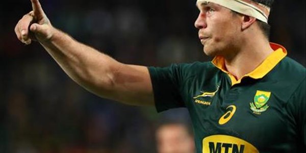 Boks Rugby Championship test begins | News Article