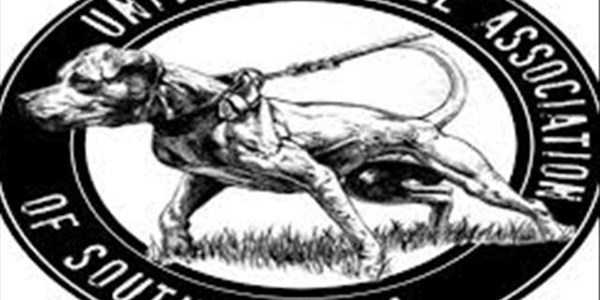 Pit Bull Terriers: A very intense and driven breed Pit Bull Terriers: A very intense and driven breed | News Article
