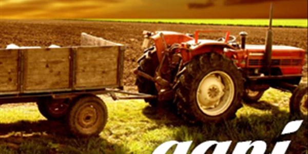 Farmers choose to pack up and leave South Africa Farmers choose to pack up and leave South Africa | News Article