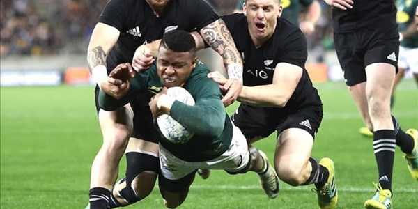 The Boks climb to fifth after Wellington win | News Article