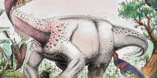 New dinosaur species found in Free State New dinosaur species found in Free State | News Article