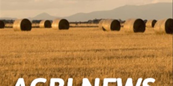 PODCAST: Agri news @ 11:00 | News Article