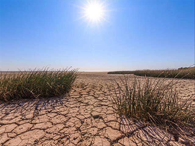 #OFMAgriUur - NWK se Johan Bezuidenhout gesels droogte | News Article