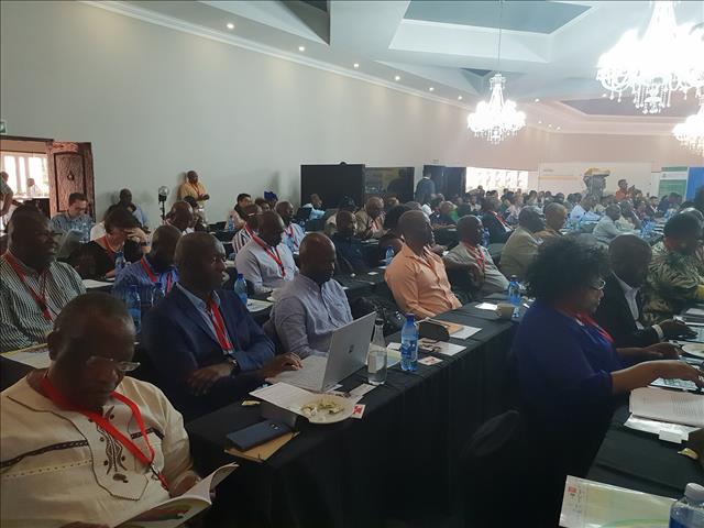 SA will struggle without viable agricultural finance system - Didiza | News Article