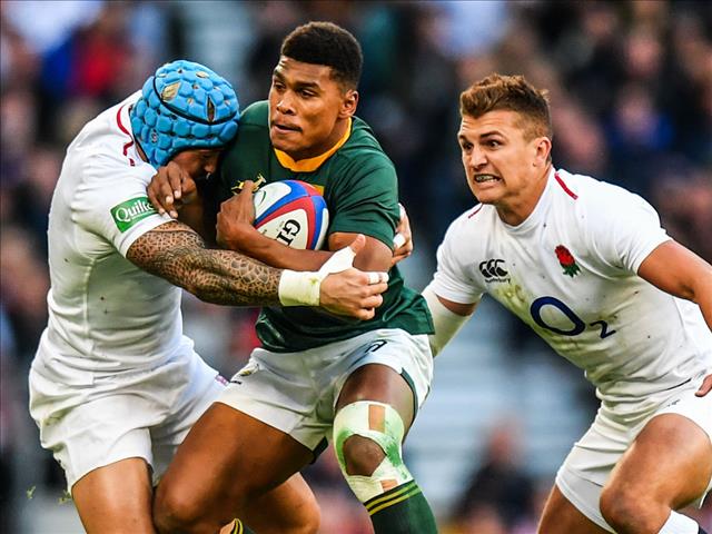 Willemse replaces Kriel in Springbok World Cup squad | News Article