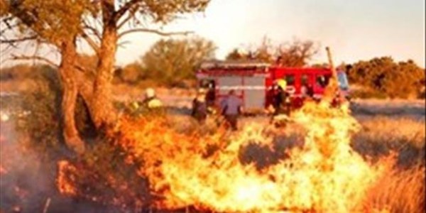 Bestuur van veldbrande moet uitbrei en verbeter, sê brandorganisasie | News Article