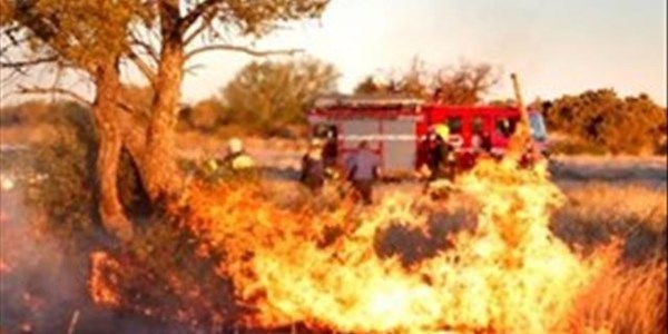 Bestuur van veldbrande moet uitbrei en verbeter, sê brandorganisasie Bestuur van veldbrande moet uitbrei en verbeter, sê brandorganisasie | News Article