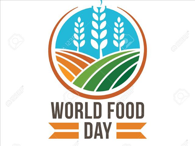 #WorldFoodDay: SA climbing food security ladder | News Article