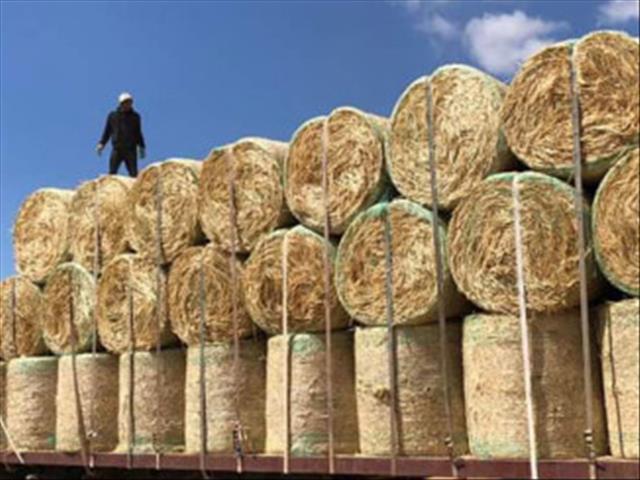 #Drought: Graaff Reinet farmers desperate to feed dying animals | News Article