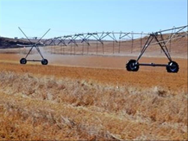 Waterbeskikbaarheid in ariede NK-gebiede steeds ‘n uitdaging | News Article