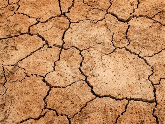 Landbou-ekonoom verduidelik wat droogtehulp behels | News Article