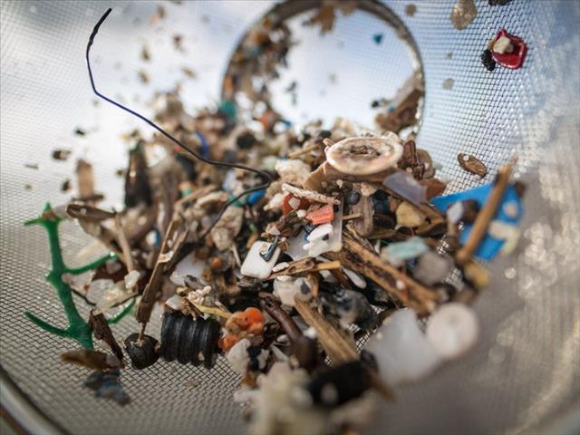 Ocean plastic waste 'probably comes from ships' | News Article