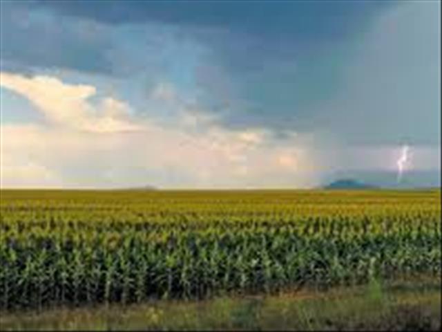 Senwes Grainlink: Hier is jou jongste Safex-pryse | News Article