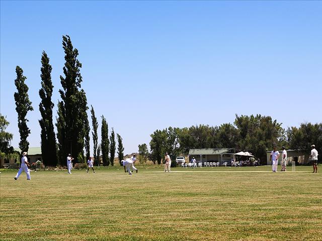 Dit is weer tyd vir boere om op Springfontein krieket te speel | News Article