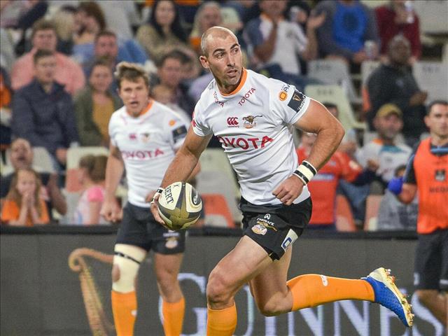 The Cheetahs are off to Ireland and Wales | News Article