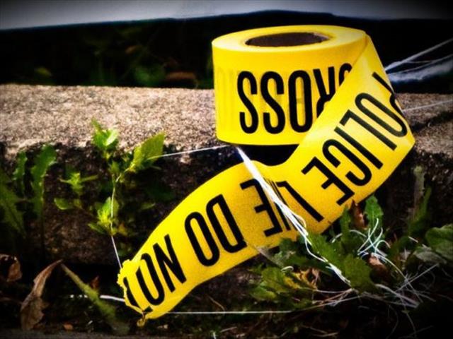 Cross-border crime a major cause for concern in FS | News Article