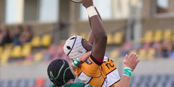 Cheetahs need to box smart in Europe | News Article
