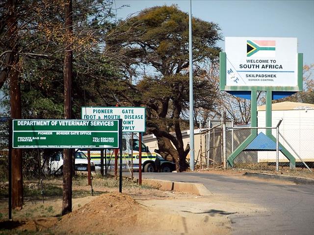 Monitor die invoer van beeste uit Botswana fyn, meen ekonoom | News Article